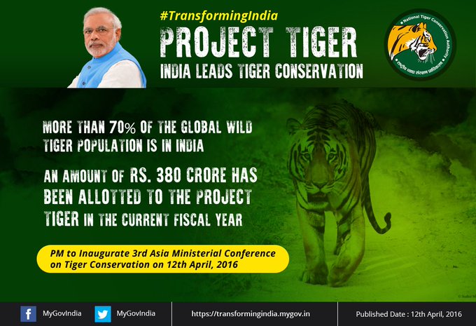 Project Tiger Idia